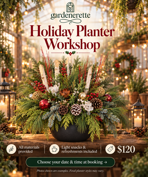 Gardenerette Holiday Planter Workshop poster, $120 with all materials and light refreshments included.